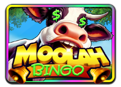 Moolah Bingo